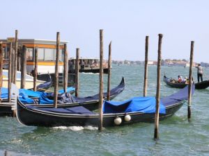 IMG_3404.JPG